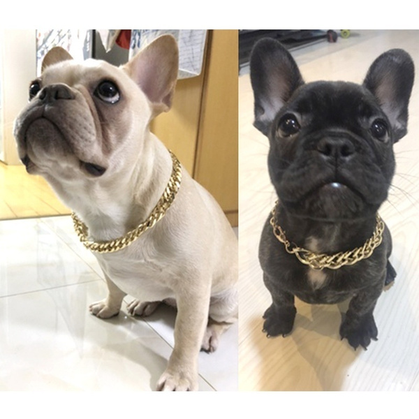 chain necklace for dogs