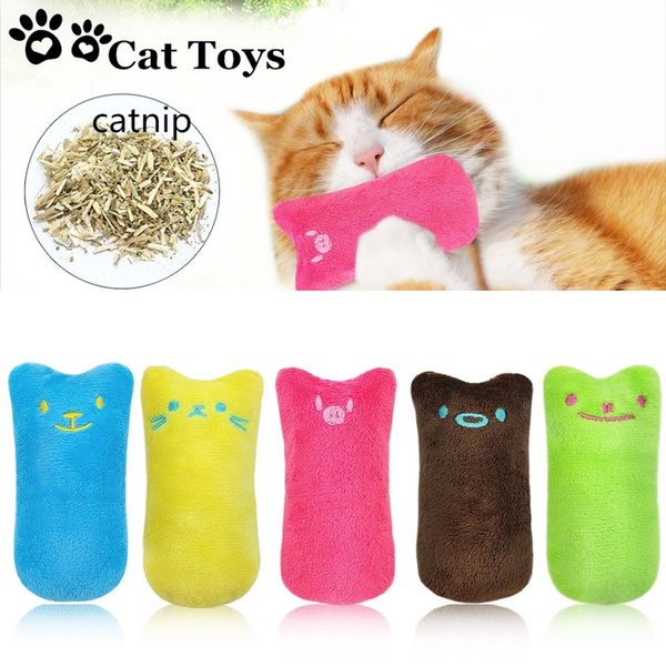 fancy cat toys