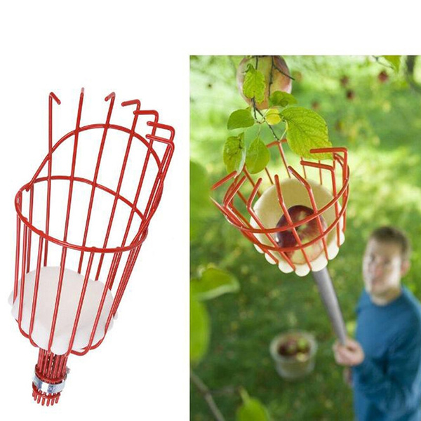 Fruit Picker Basket Tree Fruits Picking Harvesting Tool Gardening Supplies Metal 
