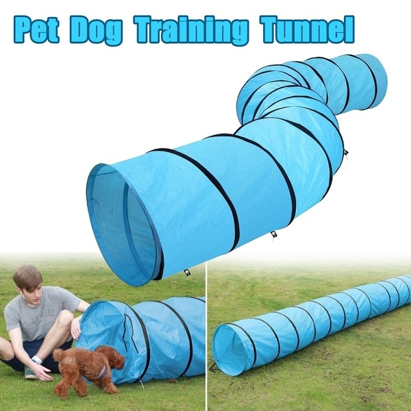 Play tunnels hotsell for dogs