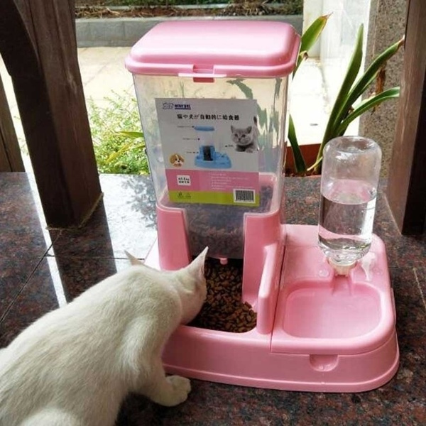 cat self feeder