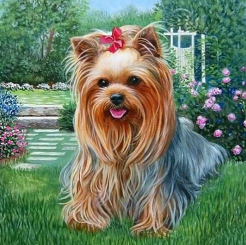 Round/ Diamond Cross Stitch,5d Diamond Painting,action 3d Diamond Painting  Kits,wish,art,dog Animal Painting