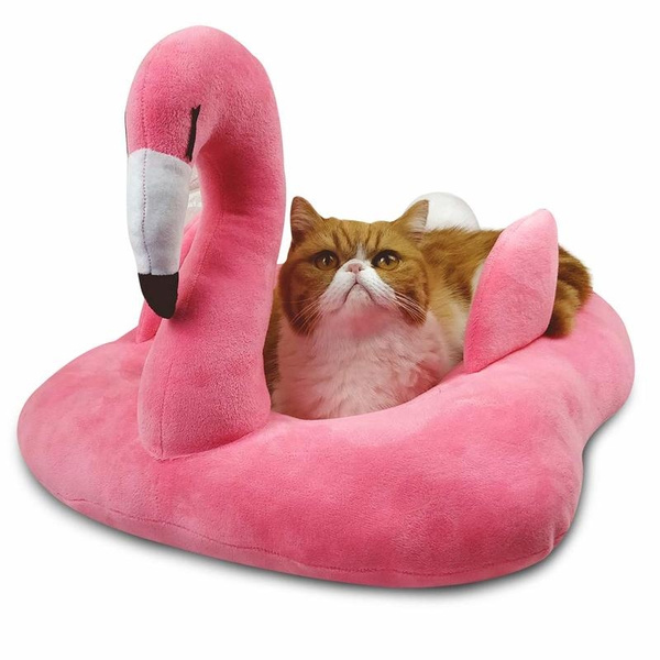 wish cat bed