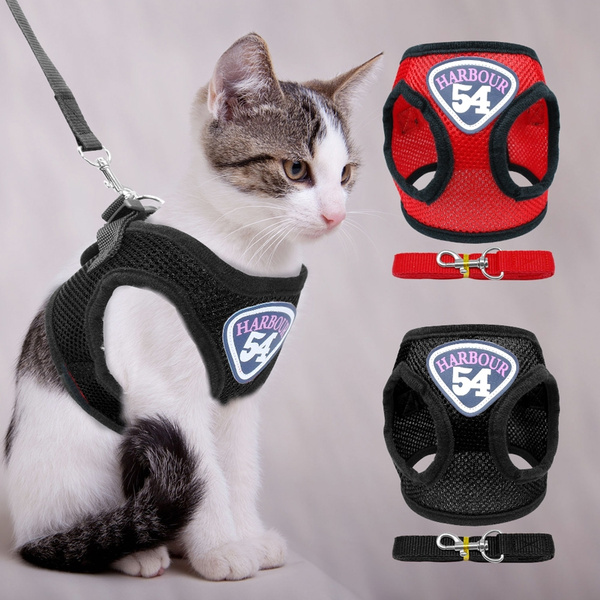 wish cat harness