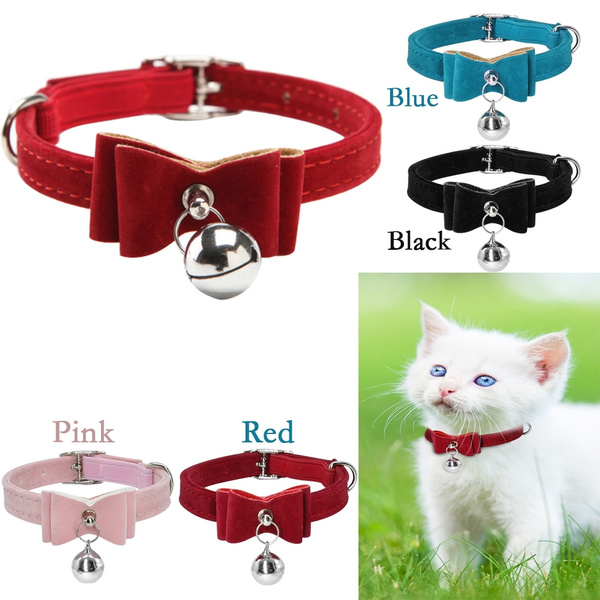 persian cat collar