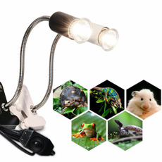 Light Bulb, tortoisesunninglight, Night Light, lightsamplighting