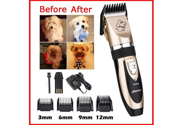 pro dog grooming kit