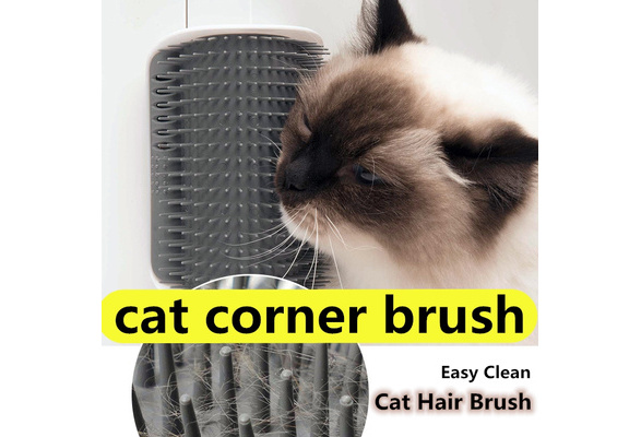 cat corner wall brush