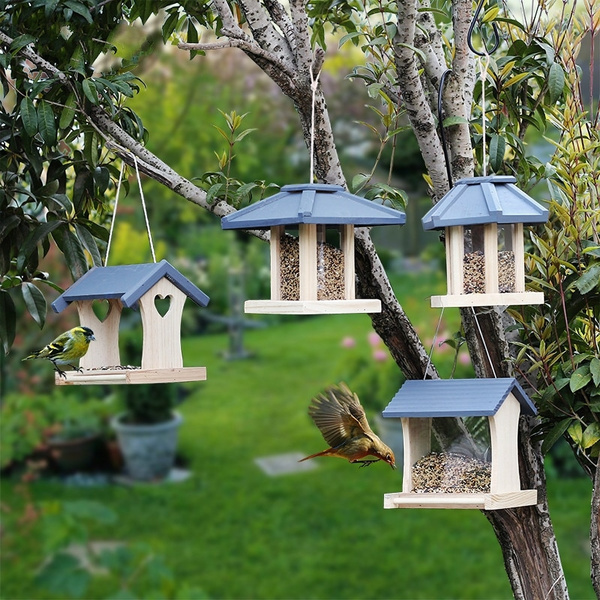 bird feed at home