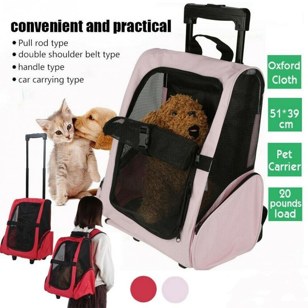 cat rolling backpack