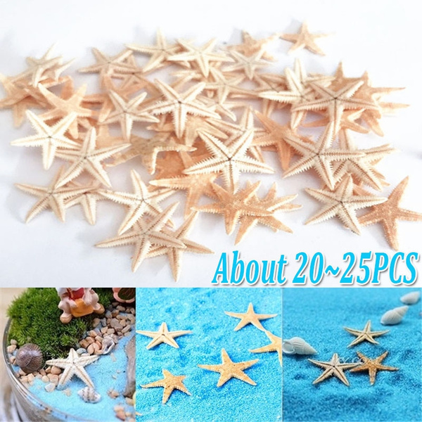 20~25 PCS 1-2 Cm Mini Starfish Sea Star Aquarium DIY Craft Wedding Home ...