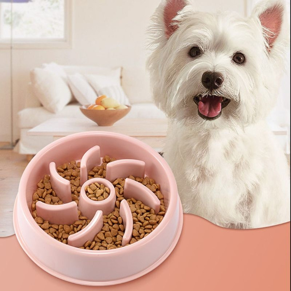 puzzle bowl for small dogs