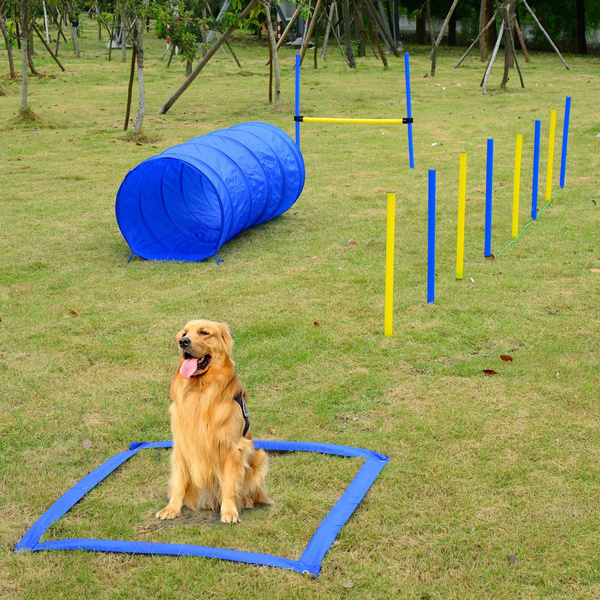 dog agility playset