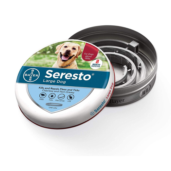 cat litter air freshener