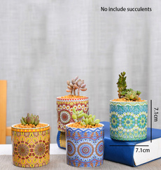 Bonsai, succulent, Plantas, Modern