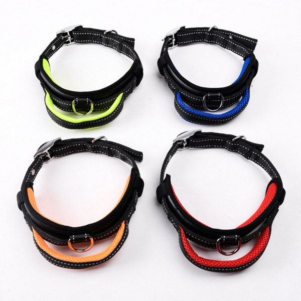 elastic dog collar