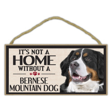 Mountain, bernesemountaindog, Pets, Dogs