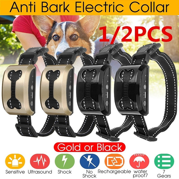 electric shock training collar
