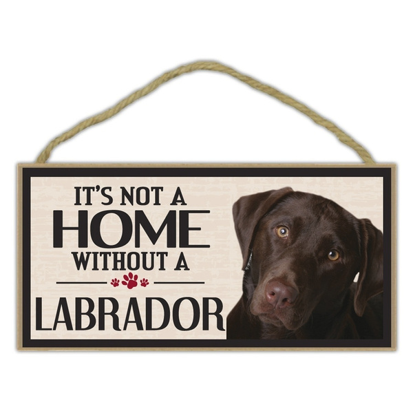 labrador accessories
