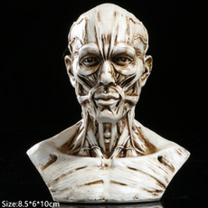 skullmodel, decoration, Head, skeletonhead