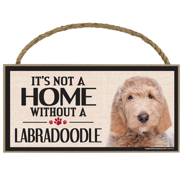 Labradoodle accessories hot sale