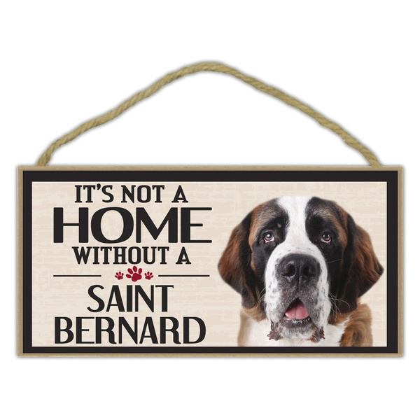 st bernard accessories