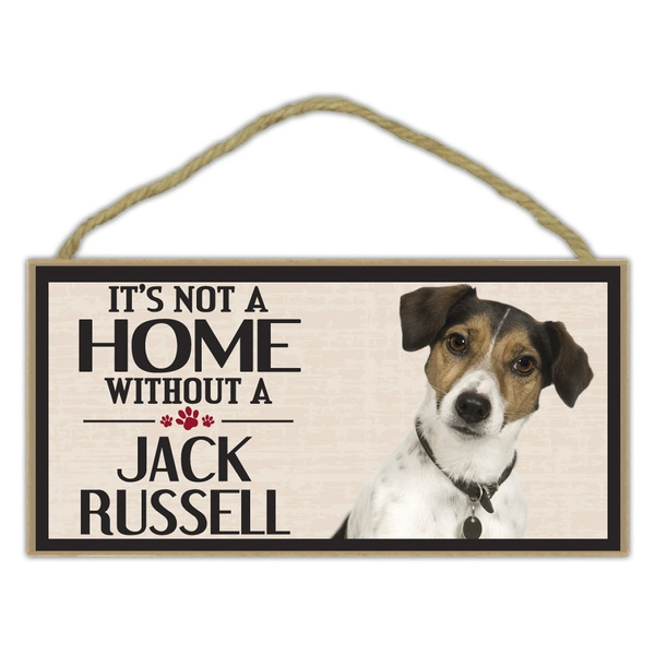 jack russell accessories