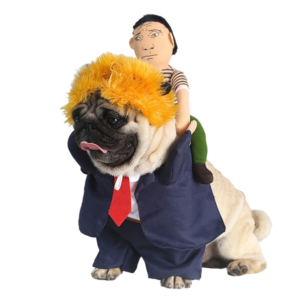 Cat and clearance dog costume