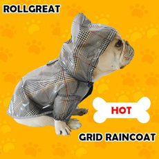 Teddy, Fashion, puppy, pet rain coat dog waterproof