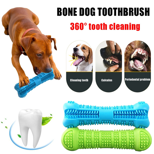 dog toothbrush bone