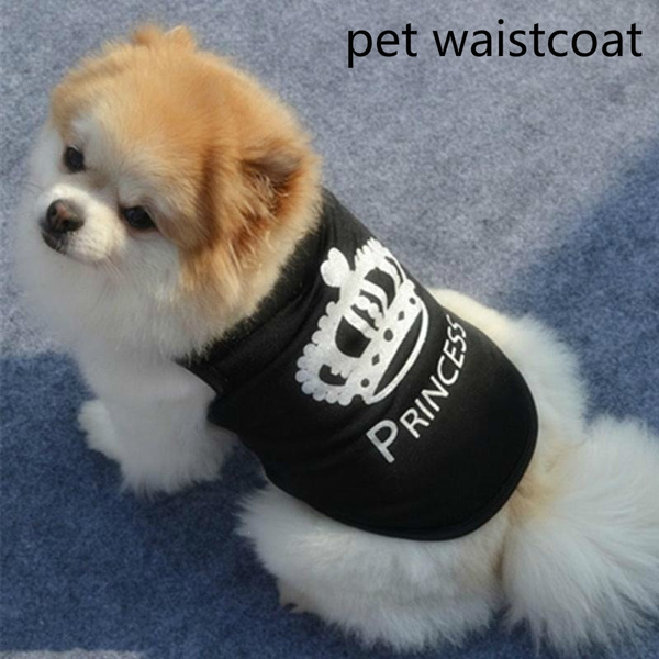 chow chow dog clothes