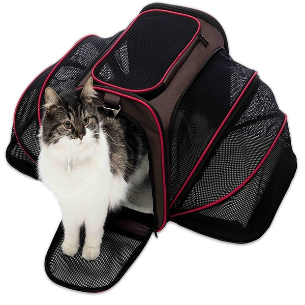 Pet Carrier Airline Approved Portable Cat Carrier Dog Carrier Two