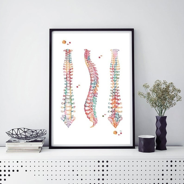 Frameless Human Spine Watercolor Print Spinal Cord Anatomy Medical Art 