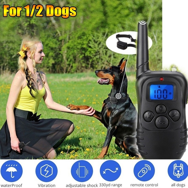 dog training active collar
