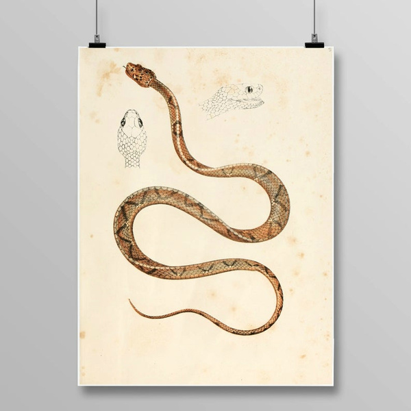 Trending Fashion Art Snake Animal Art Print Animalier Wall Art Navy Wall Art Navy Sandy Wall Print Snake Skin Print Poster Modern Decor