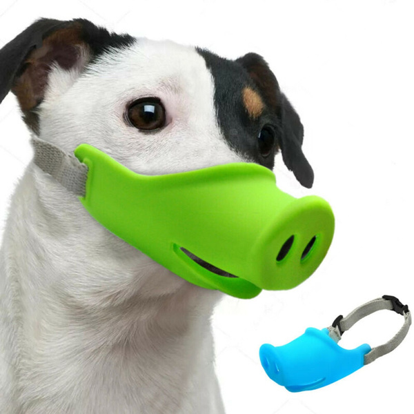 Pretty dog clearance muzzles