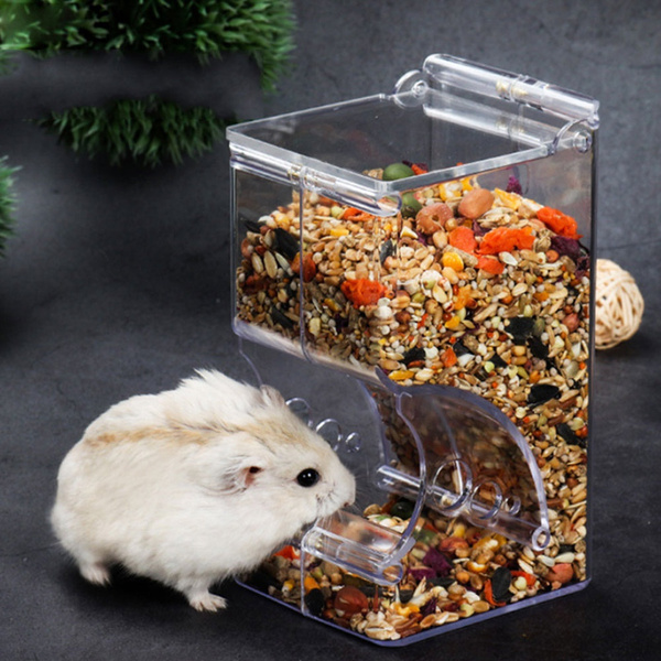 automatic hamster food dispenser