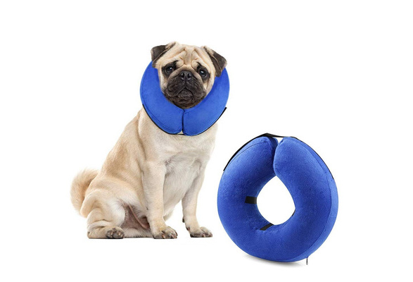 protective dog collars after surgery
