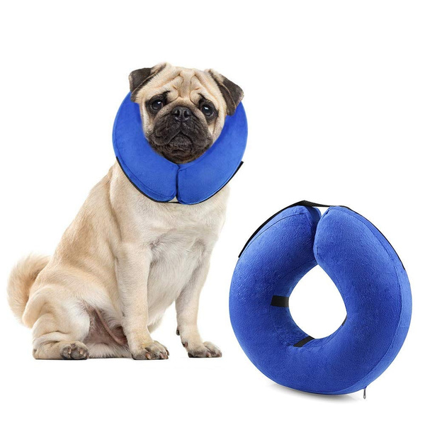 e cone for dogs