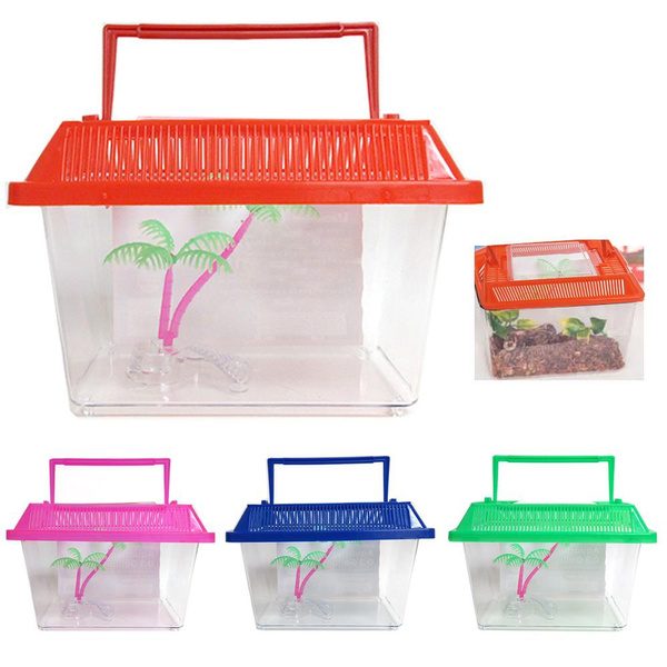 aquarium starter kit