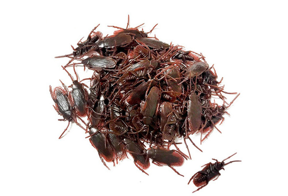 plastic toy roaches