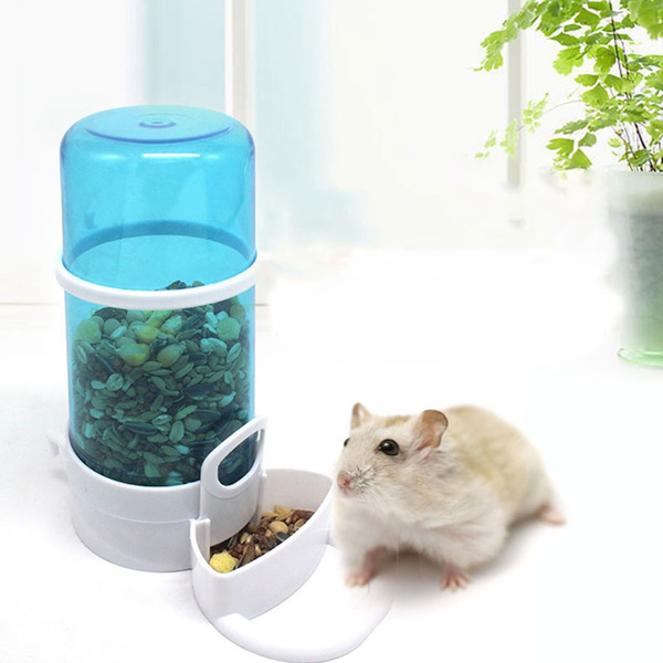hamster feeder automatic