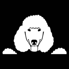 Car Sticker, Home Decor, Wall Decal, poodle