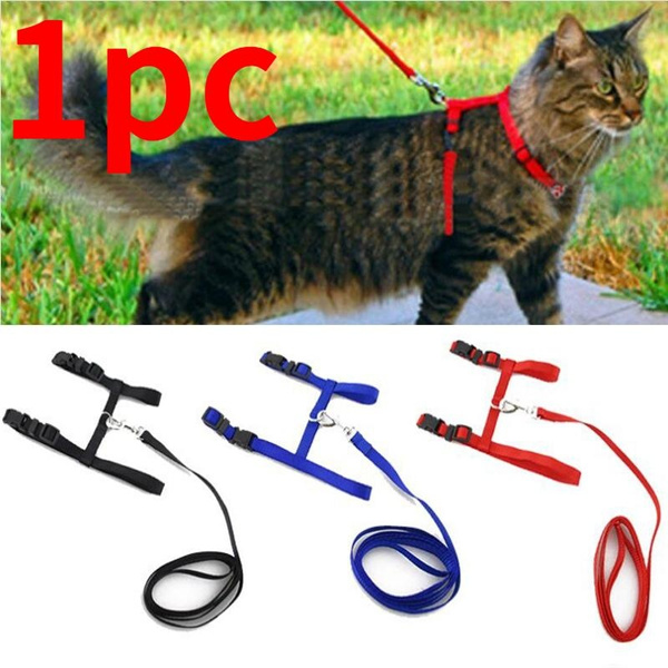 Snapshot of Leash Harness Cat Safety Collar