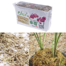organicfertilizer, Nutrition, waterretention, phalaenopsisorchid
