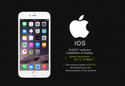 thumbnail - 12