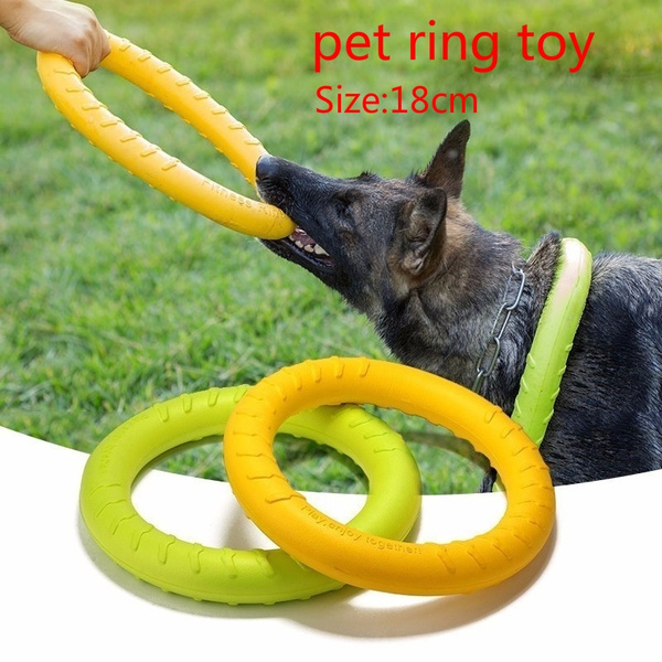 Dog Agility Training Toys Dogs Puppy