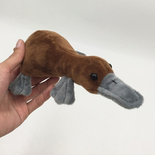 duck plush toy australia