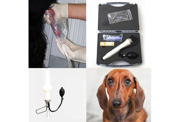 Canine artificial insemination store supplies