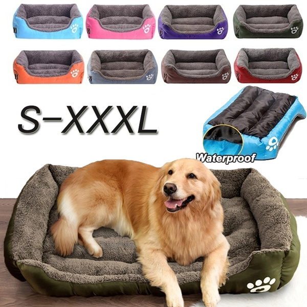 dog bed wish